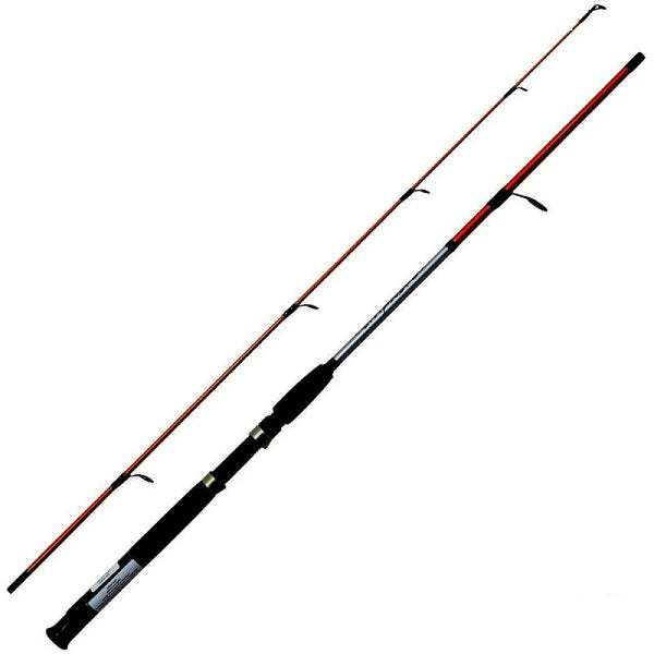 CAÑA SHIMANO CRUZAR SPINNING