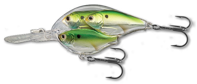 SEÑUELO LIVE TARGET CRANKBAIT (Tamaño 6.5cm, 5/8oz)